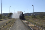 Lok 310